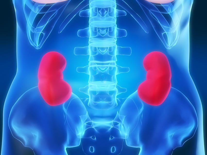 Best PCOS TREATMENT PLAN